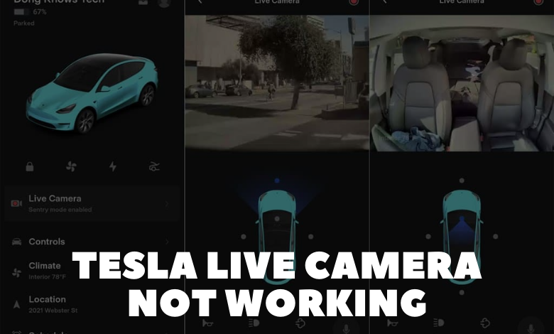 Tesla Live Camera Not Working