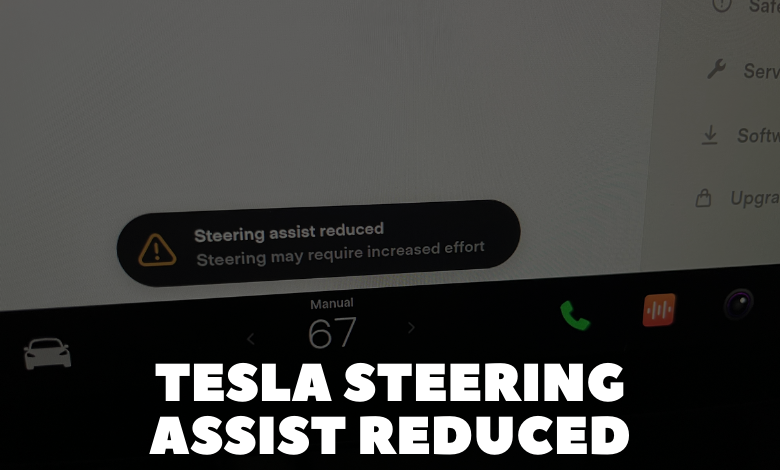 Tesla Steering Assist Reduced