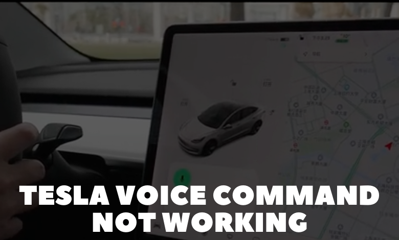 Tesla Voice Command Not Working