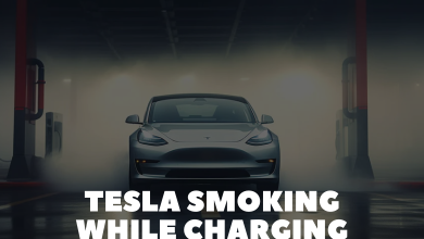 Tesla Smoking While Charging