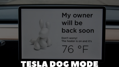 Tesla Dog Mode