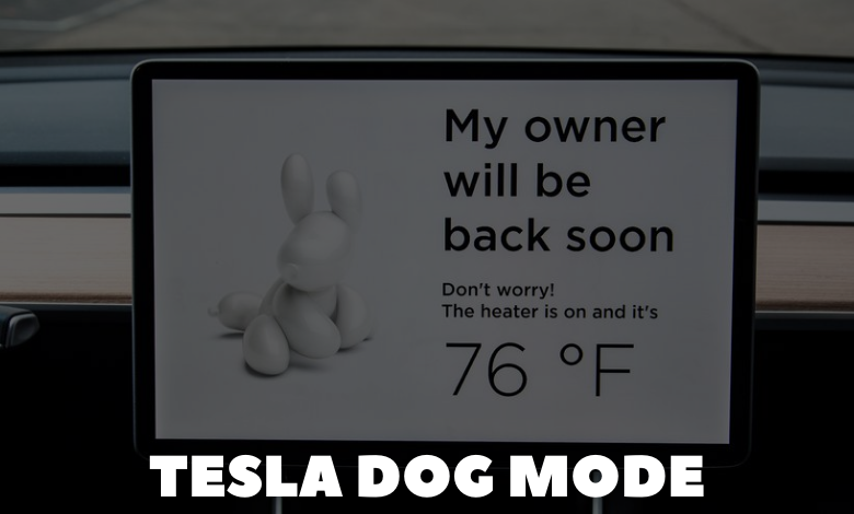 Tesla Dog Mode