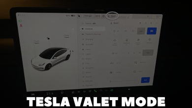 Tesla Valet Mode