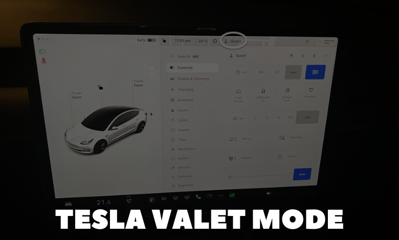 Tesla Valet Mode