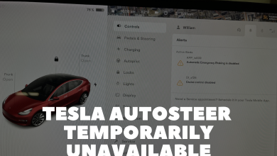 Tesla Autosteer Temporarily Unavailable